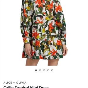 Caitlin Floral Print Mini Dress